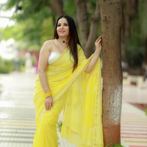 Chikankari Saree