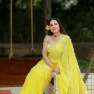 Chikankari Saree